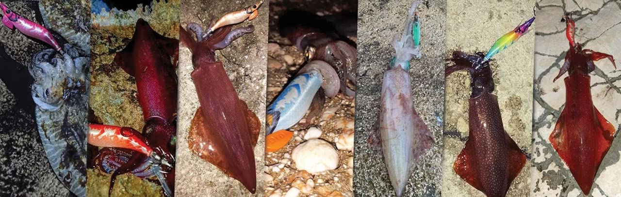 Esca Tonanara per Cefalopodi - Gamberetto Luminoso di Notte e Adatto per la Pesca di Polpo, Seppia, Calamari X EGI