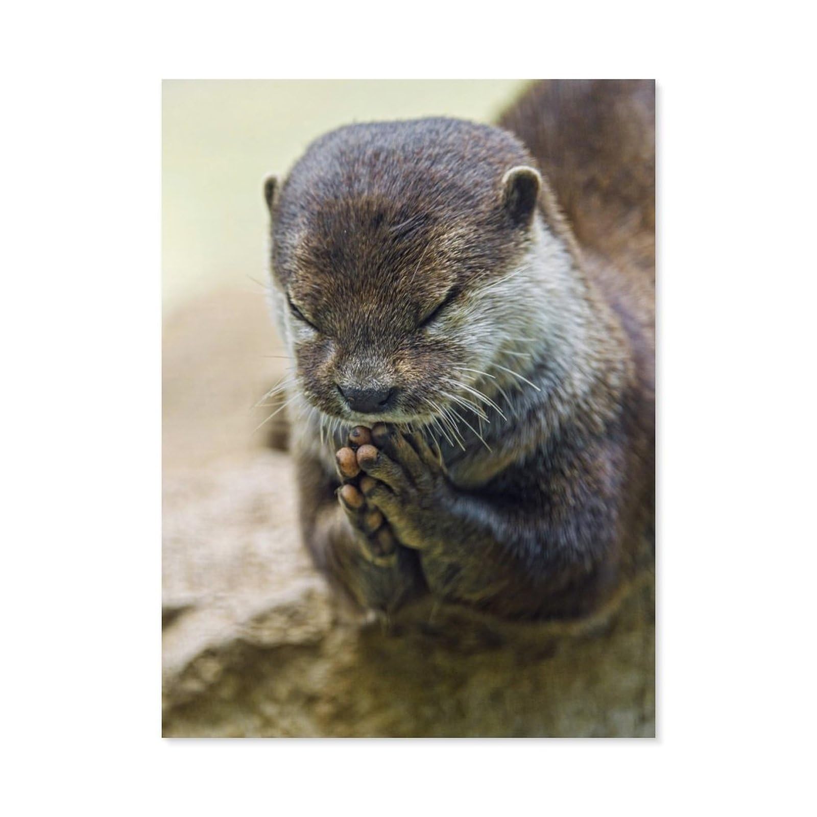BEAYODKP Paint by Numbers for Adults,Cute Otter,DIY Oil Painting Paint by Number Kits Linen Canvas Wall Art House Decor(40x50cm) 15.7x19.6 inches-J14 — image 1