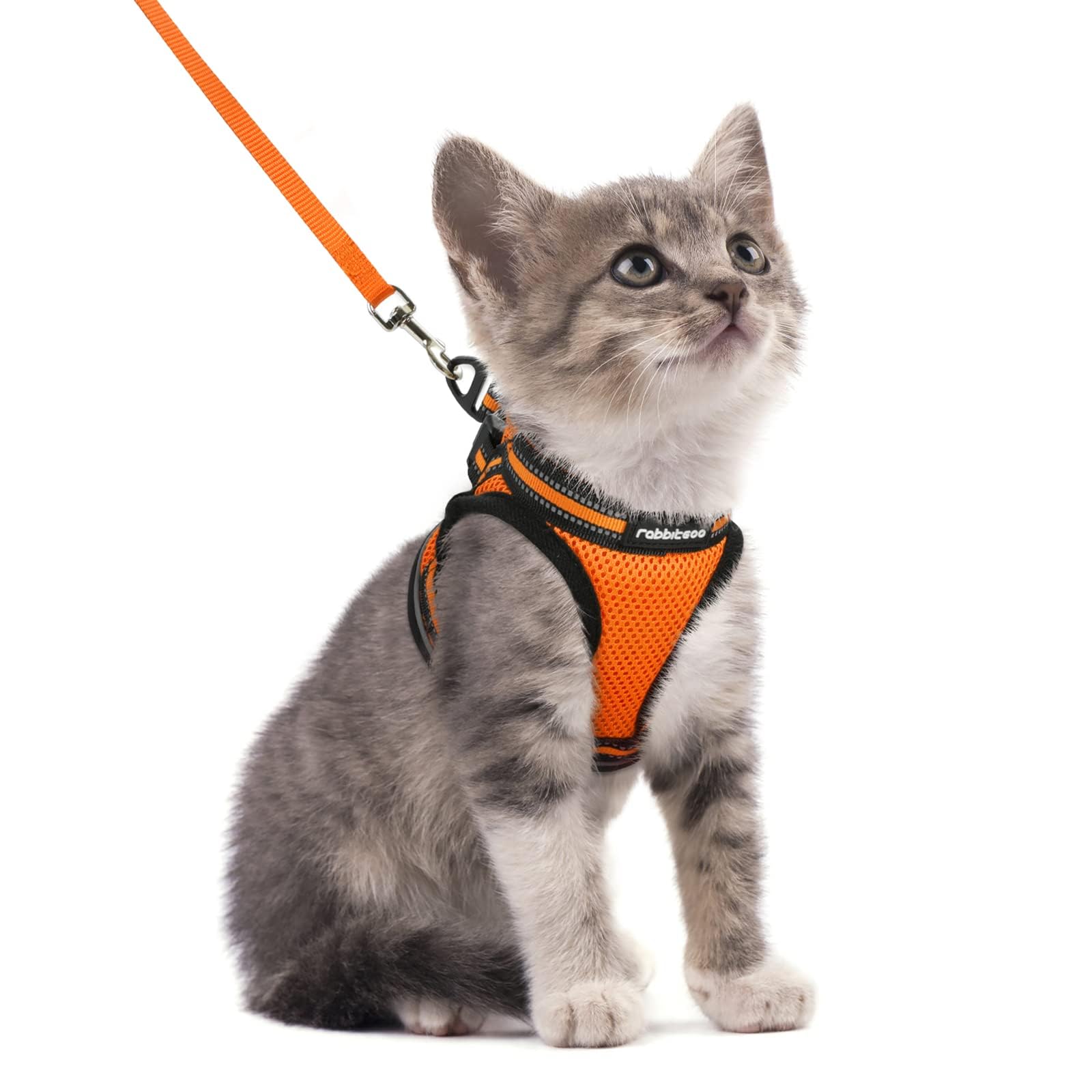 rabbitgoo Cat Harness and Leash Set for Walking Escape Proof, Adjustable Soft Kittens Vest with Reflective Strip for Cats, Comfortable Outdoor Vest, Black, Small — view 19