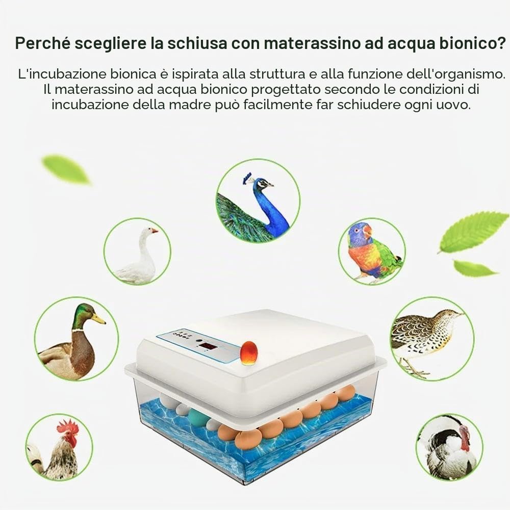 Incubatrice automatica per 20 uova, completamente automatica, con funzione di riempimento dell'acqua, schermo di visualizzazione, rotazione automatica, pollaio incubatrice per polli, quaglie (20 uova)