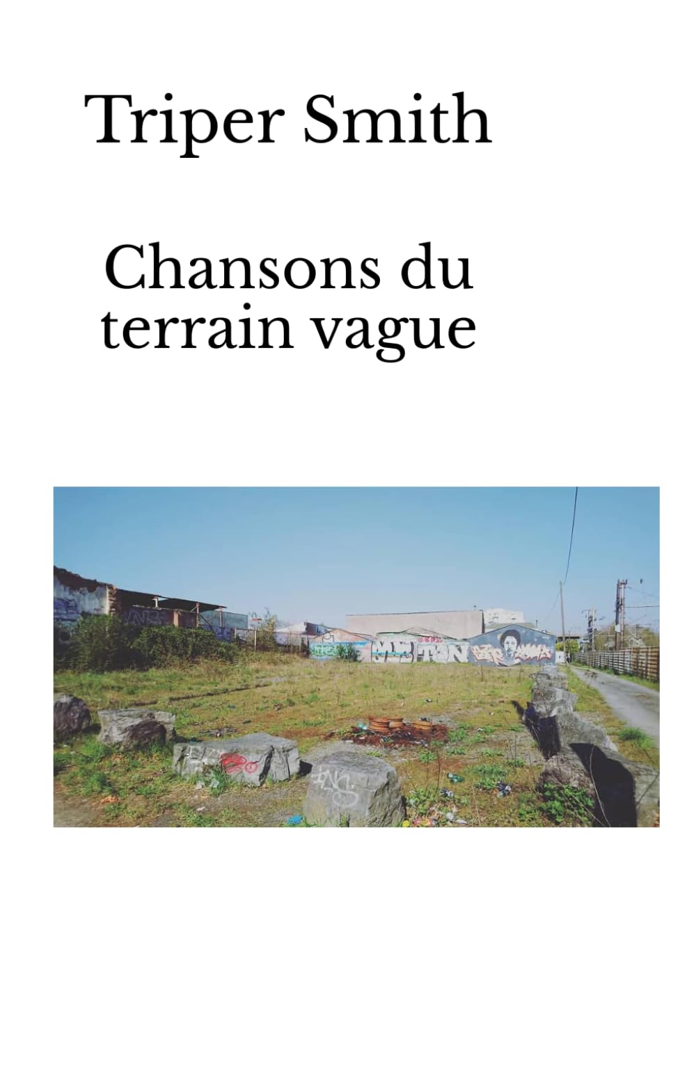 Chansons du terrain vague