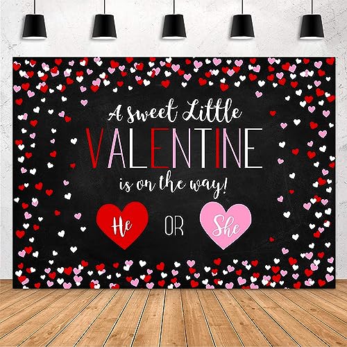 Toile de fond Saint-Valentin 3x2,1m décor fête prénatale