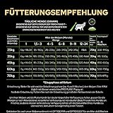 Pro Plan Pro Plan PURINA PRO PLAN LARGE ATHLETIC PUPPY mit OPTISTART reich an Huhn