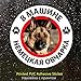 A/X Adesivi per auto PVC-0002# Pastore tedesco in auto Adesivo autoadesivo adesivo per auto Decori auto impermeabili sul paraurti posteriore