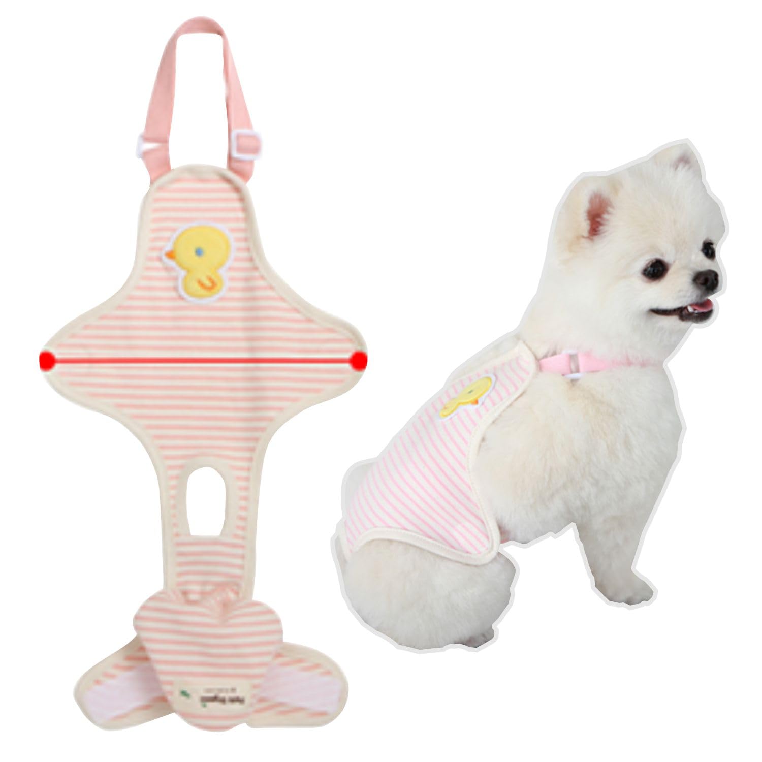 Its Dog & Kangachi - Pack 3 Bragas para Perros Hembra, Bragas Reutilizables y Lavables, Bragas Menstruales, Altamente Absorbentes, Pañales Made in Korea, Perros Pequeños y Medianos, Talla M