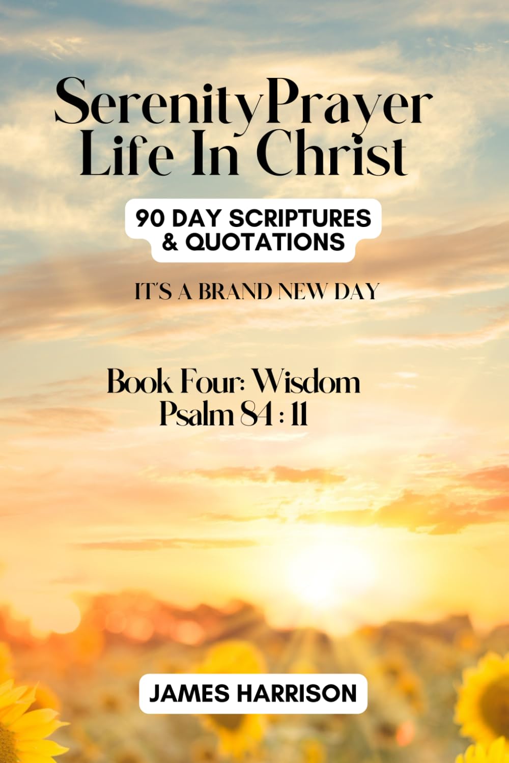 SERENITY PRAYER LIFE IN CHRIST: BOOK 4 - WISDOM: 90-Day Scriptures & Quotations (SERENITY PRAYER IN MANIFESTATION)