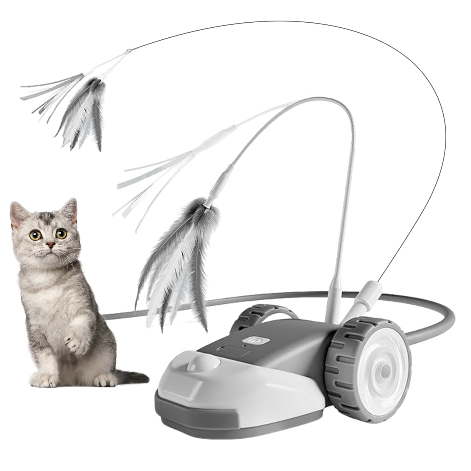 Jouet électrique pour chat stimule le chaton d'intérieur contre l'ennui