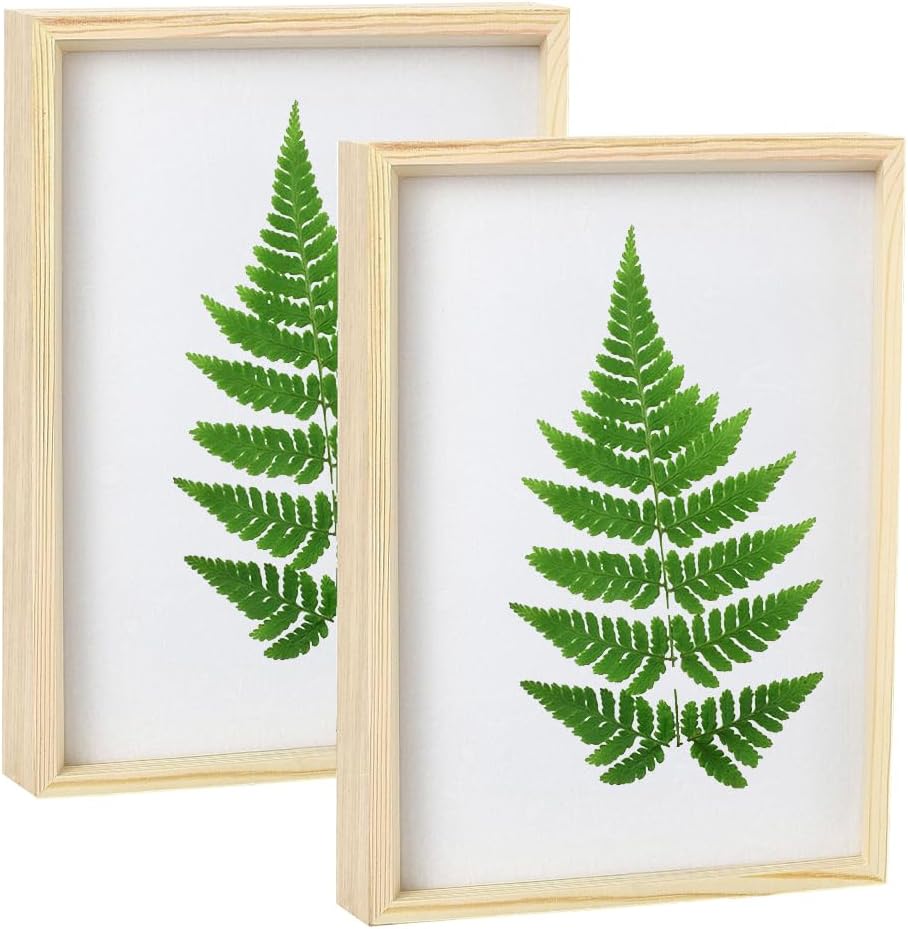 GLOBLELAND 2Pcs 12x9inch Floating Picture Frames Wooden Specimen Frame Double Glass Pressed Flower Frames Wall Mount Tabletop Display Picture Frame for Plants Specimen