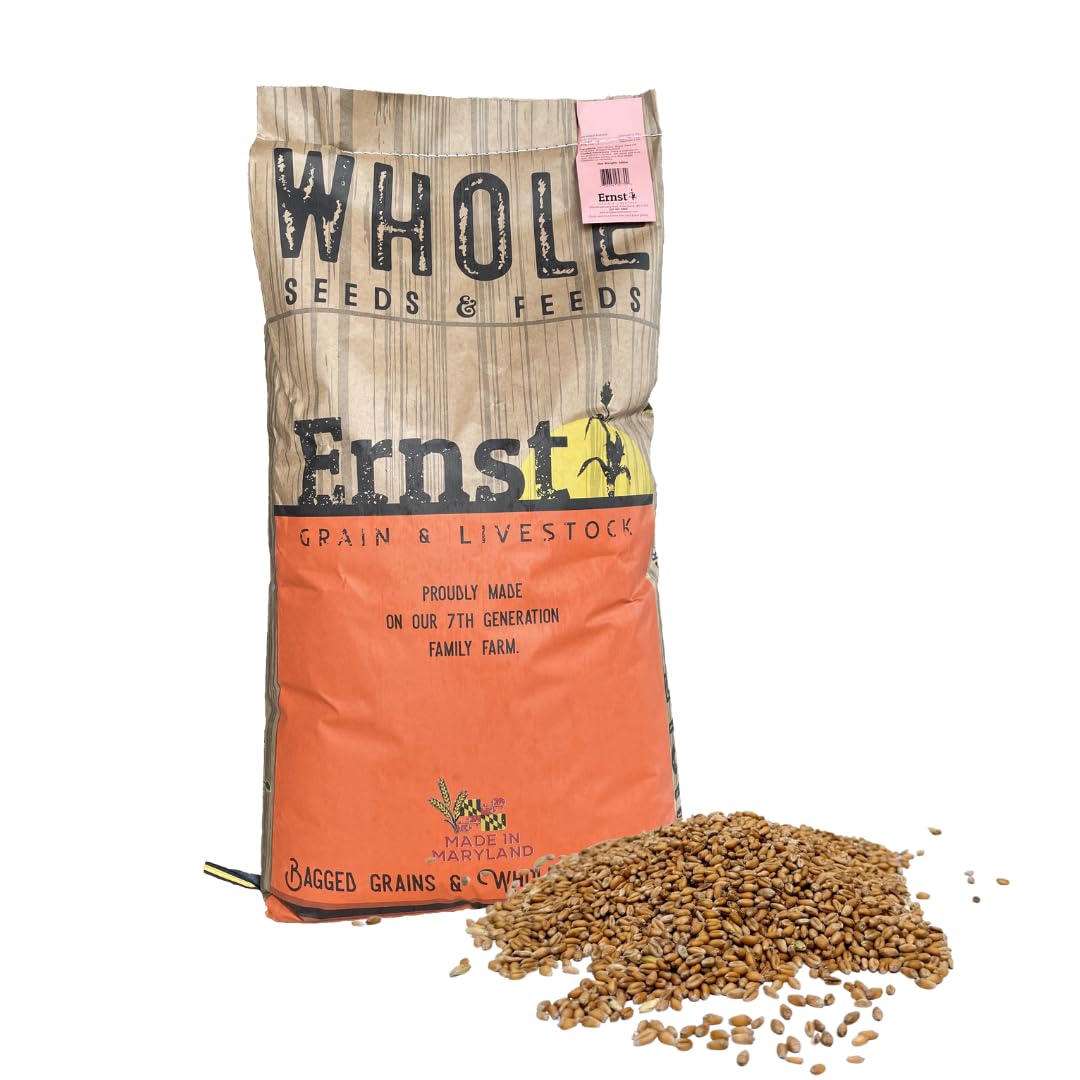 Soft Red Wheat Berries – Non‑GMO Feed Grade – 46 LB Bulk Bag – Ideal for Livestock & Poultry Feed – Grown by Ernst Grain & Livestock (Family Farm)