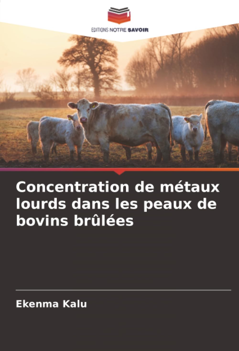 Concentration de métaux lourds dans les peaux de bovins brûlées