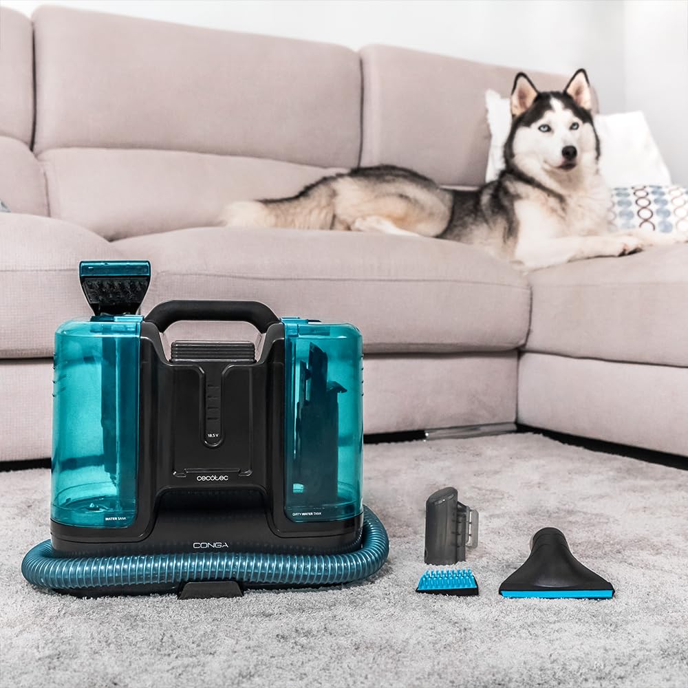 Cecotec Limpiador Aspirador de Tapicerías y Alfombras sin Cable Conga Carpet&Spot Clean Liberty. 150W, Autonomía 30 mins, 2 Depósitos, Pulverizador de Agua y Accesorio Limpia Ventanas