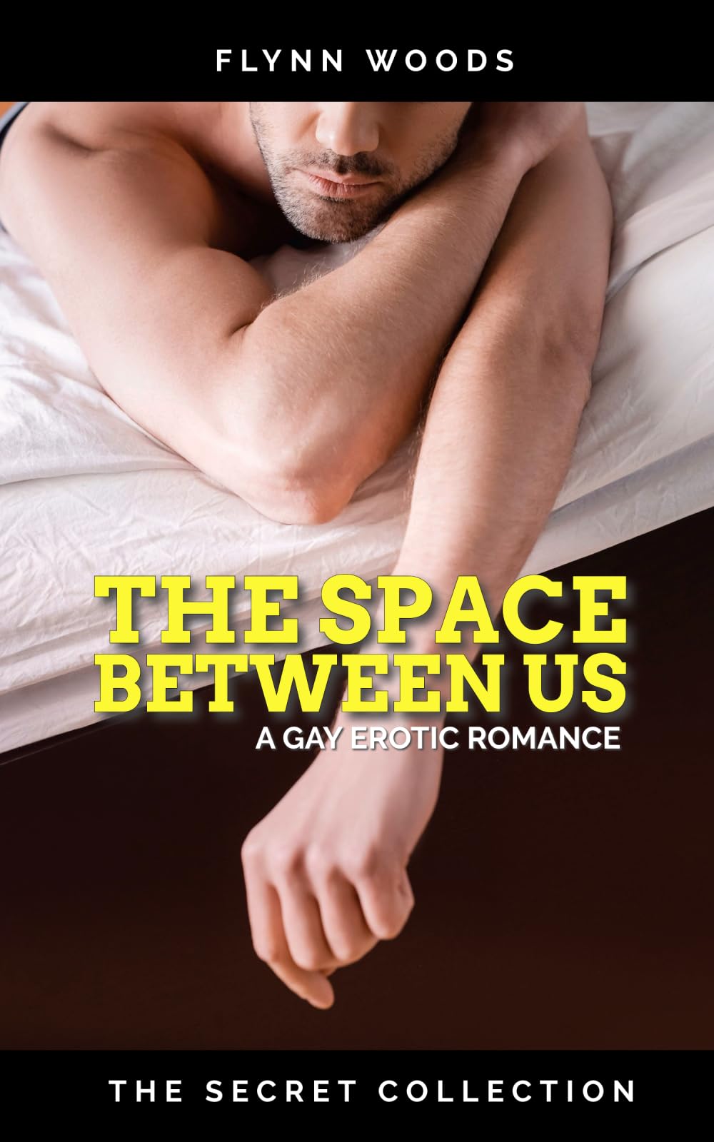 The Space Between Us: A Gay Erotic Romance (The Secret Collection)