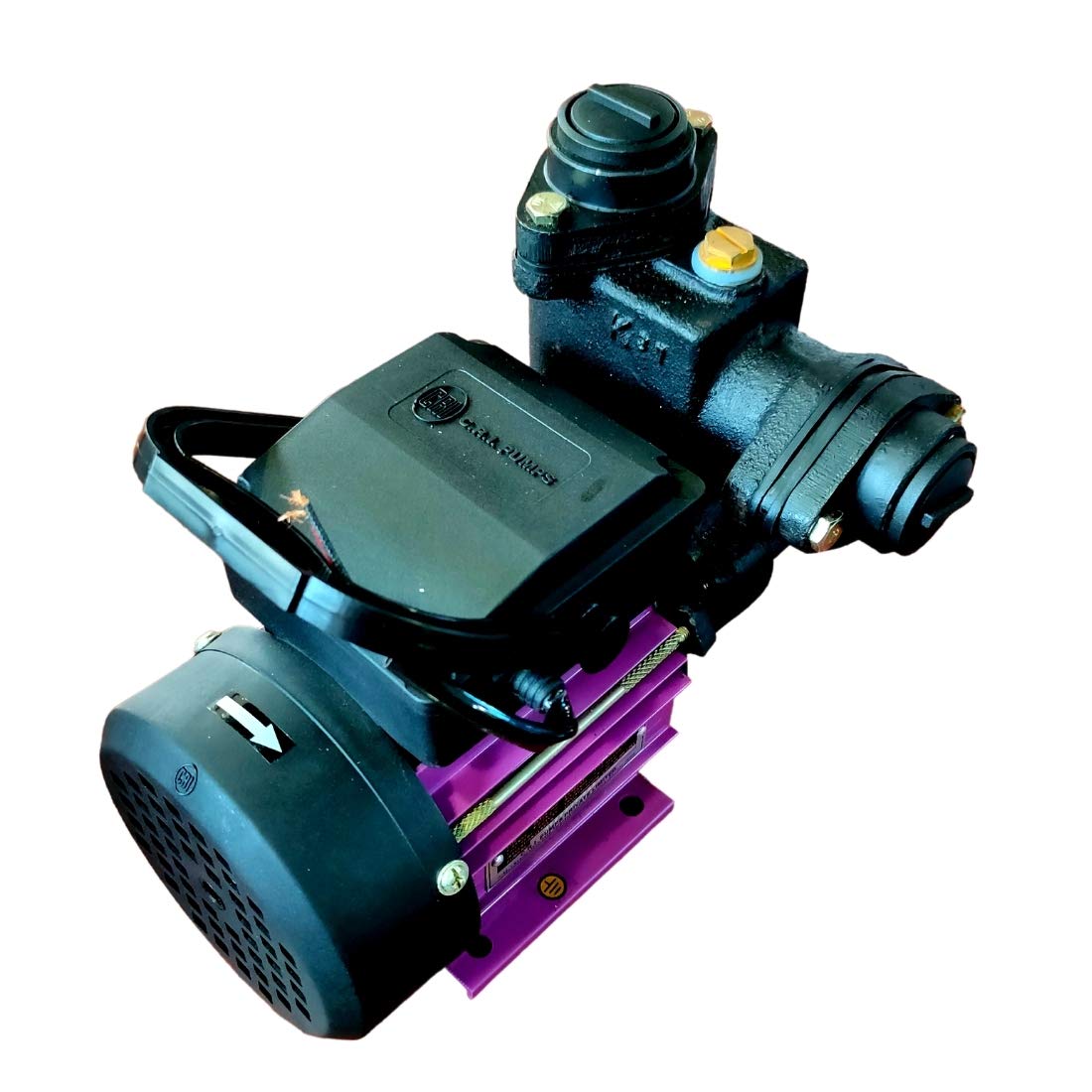 C R I 1Hp Water Pump MIKI 100 | Self Priming Mono Block Water Pump | 1hp single phase | 220v-240v, 50Hz (B08V4RMKSS) Amazon Price History, Amazon Price Tracker