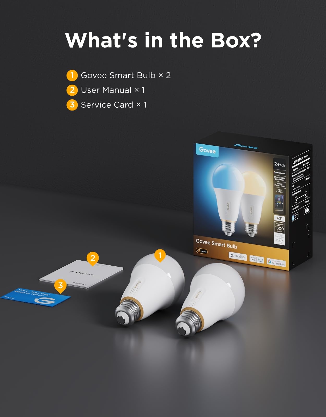 Govee 1600 Lumens Smart Light Bulbs, A21 LED Bulbs 100W Equivalent for Living Room, RGBWW Color Changing Light Bulbs Compatible with Matter, Alexa & SmartThings, CRI 90, E26 Base, 2.4GHz Only, 2-Pack — view 9