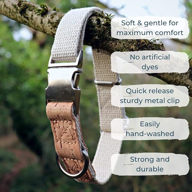 Foto 5 de 7 de Collar sostenible para perro │ Collar de cáñamo y corcho 100% natural para perros pequeños, cómodo