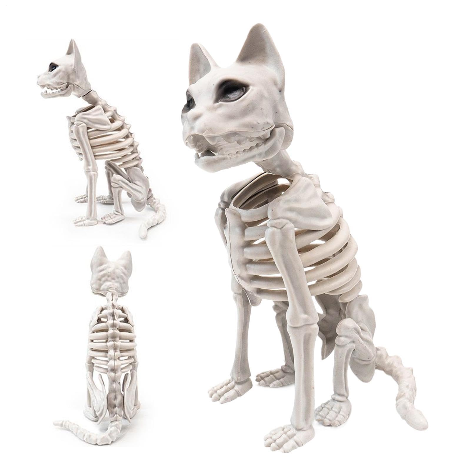 Modèle de figurines réalistes de squelette de chat aux détails anatomiques