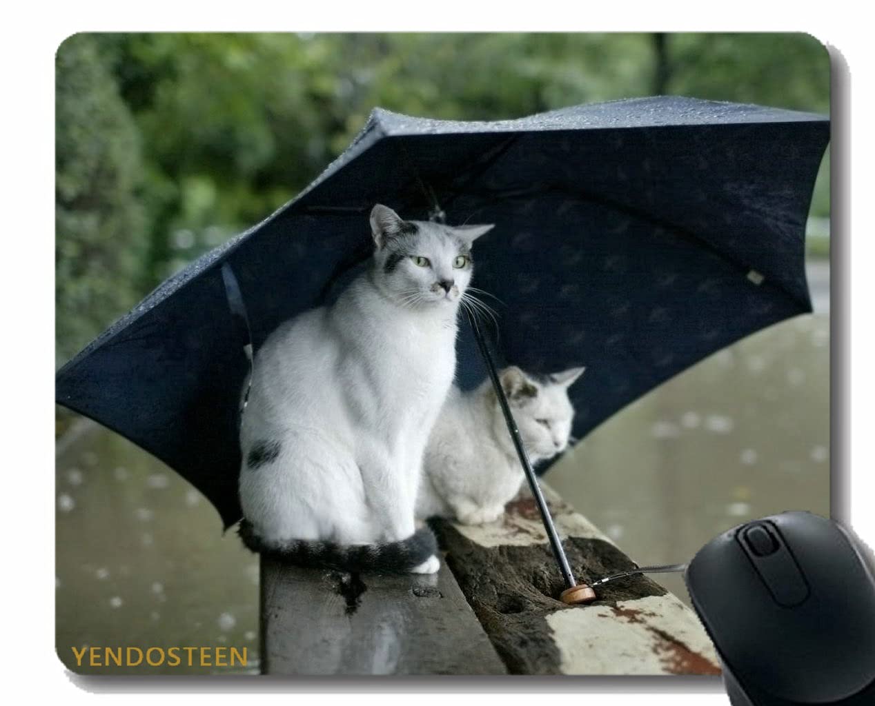 Personalized Mouse Pad,Koty Para Zont Pyatnistye 89267 Non-Slip Rubber Base Mousepad