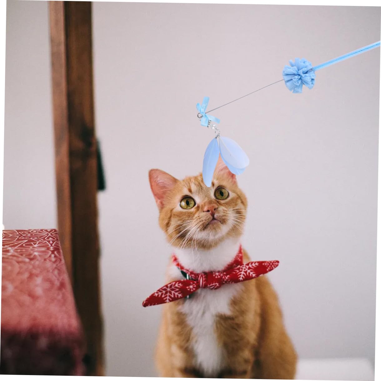 FRCOLOR Juguetes para Gatitos 9 Piezas Palo de Teaser de Borla Juguetes para Mascotas Gatito Juguetes Juguetes Juguete para Gatos Varita mágica Hada Regalo de cumpleaños Palo de burlas