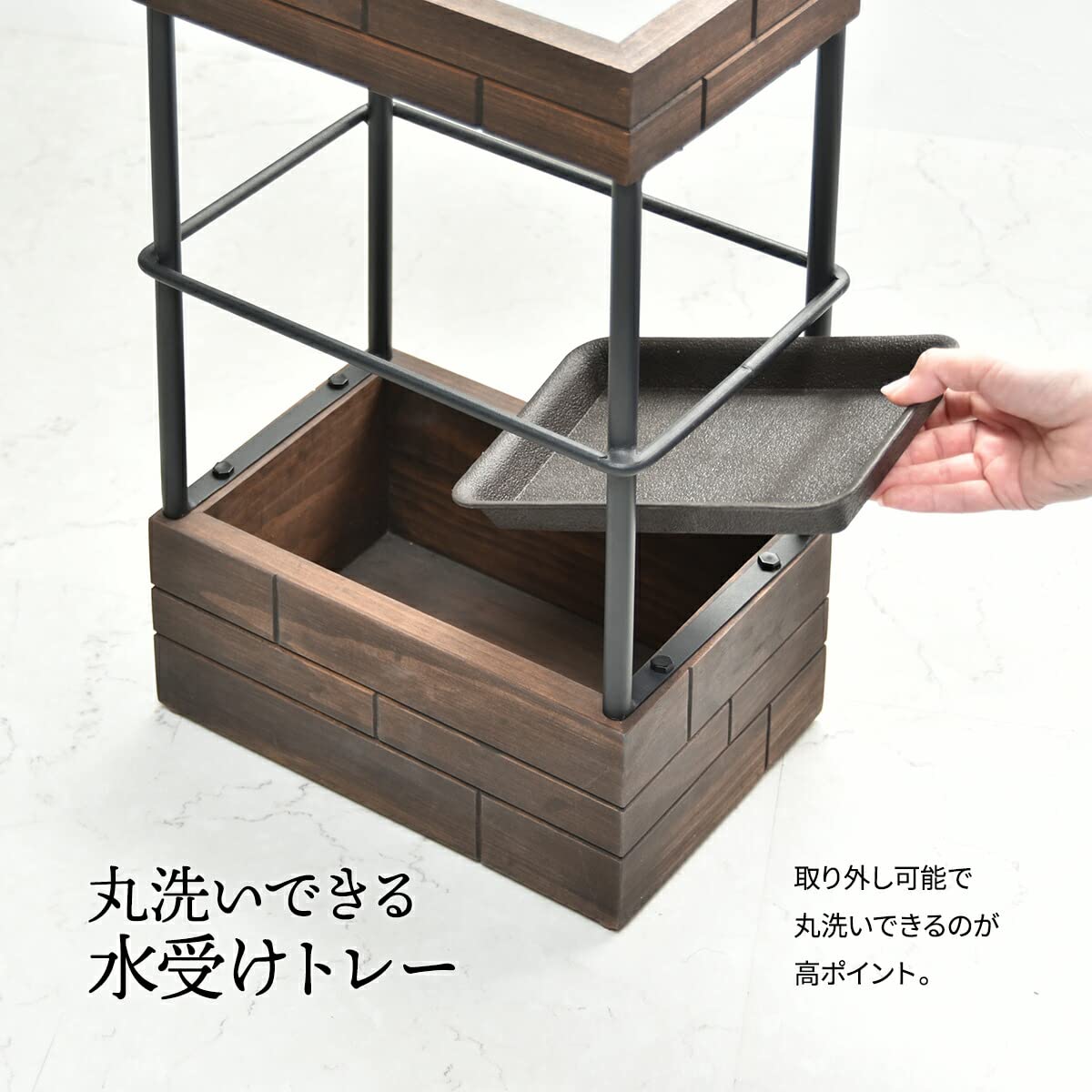 Amazon｜FunFun 傘立て 天然木 ヴィンテージ SEED アンブレラスタンド