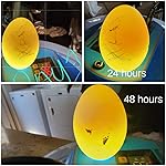 Review Image by Ashley Ashley