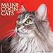 Just Maine Coon Cats 2017 Wall Calendar (Cat Breed Calendars)
