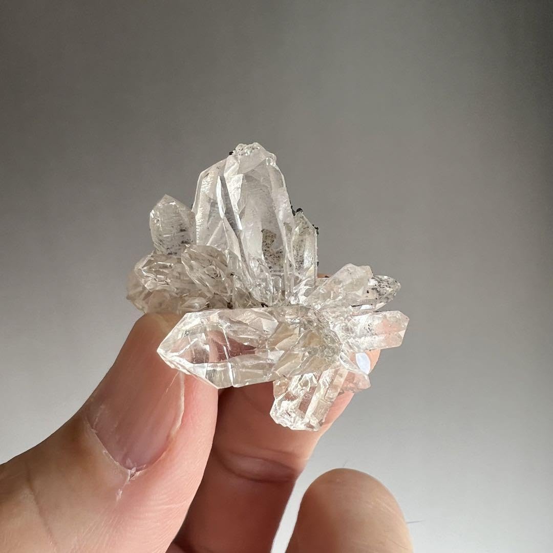 Amazon.co.jp: ヒマラヤ水晶 マニハール産 クローライト ミニ