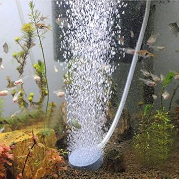 Amazon 5個4cm 8cm水槽池の池水耕栽培酸素増加気泡石エアポンプエアレーター 直径 4cm Beautycn 釣り