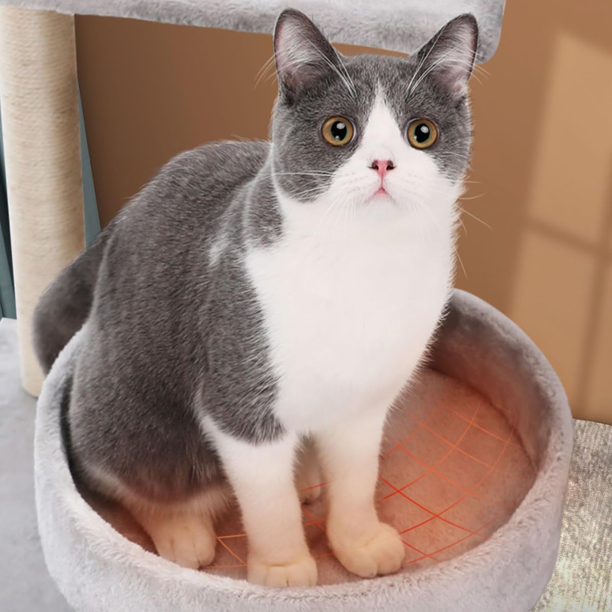 Amazon | 猫の遊び場 多機能 キャットタワー 猫ベッド 猫の爪とぎ 麻紐