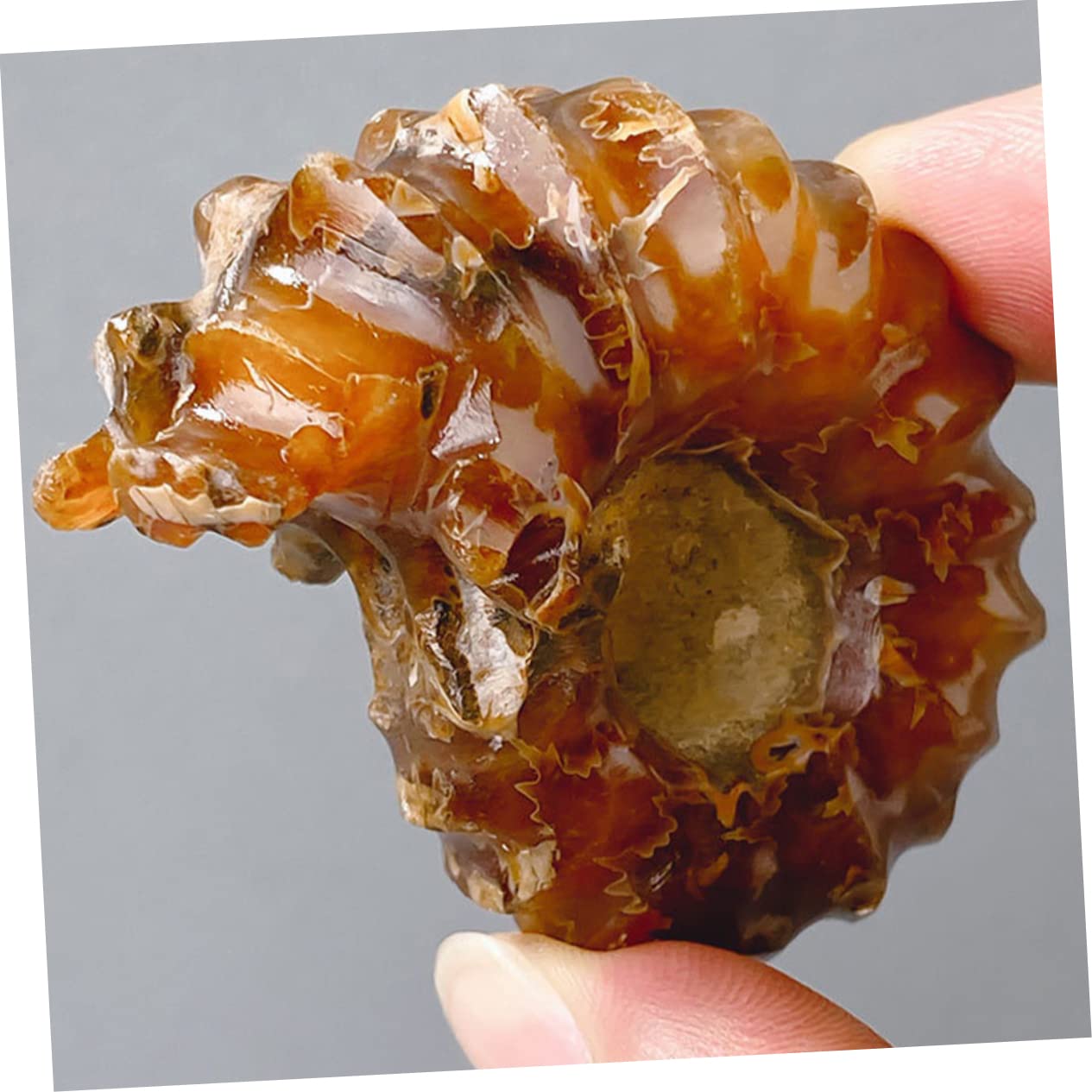 Healvian Snail Crystal Stone Natural Table