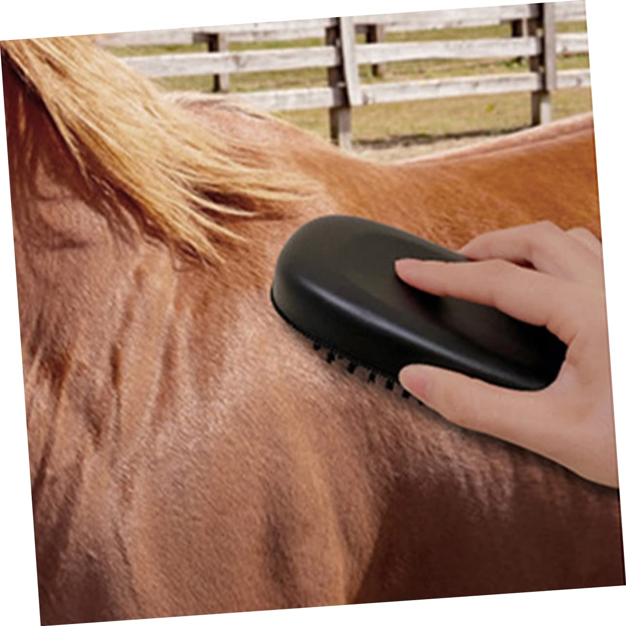 SUPVOX 4 Cepillos De Limpieza Para Caballos Ecuestres Cepillo Para El Pelo De Caballo Cepillo Para La Limpieza De Ganado Cepillo Para El Pelo De Caballo Herramienta Para Quitar El