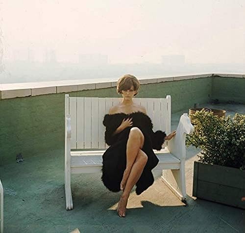 Posterazzi DAP15486 Claudia Cardinale - Impresión fotográfica (piel negra, 3.1 x 3.9 in), multicolor