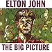 The Big Picture [2 LP]
