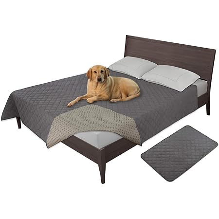 queen bed with dog bed