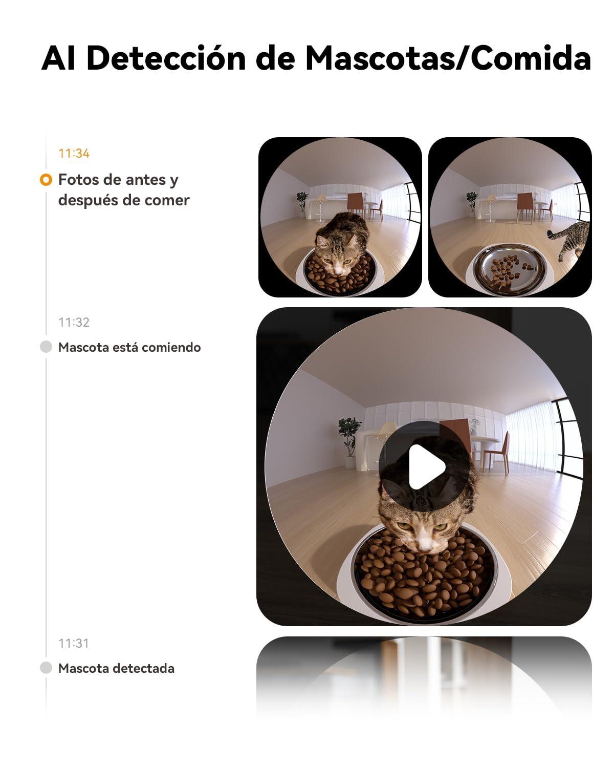 Imou 4L Comedero Gato Automatico con Cámara 4MP, 2.4G WiFi Dispensador Comida Gatos/Perros con Detección de Movimiento y Fuente de Alimentación Dual, Sensor de Alimentos Bajos, Audio Bidireccional