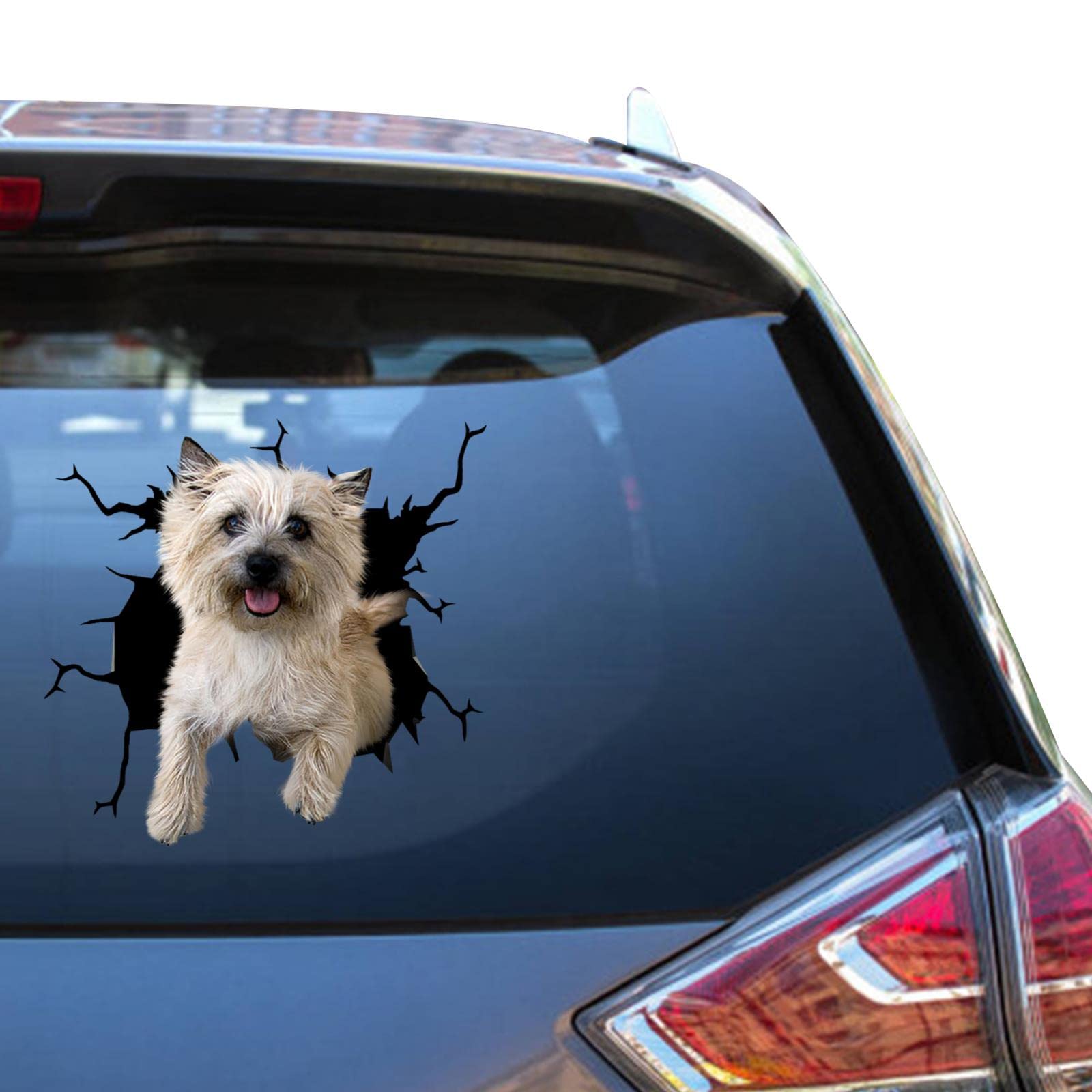 Camellia Print Cairn Terrier Dog Warning Sticker Gift Cairn Terrier Dog Gifts Papillon Dog Sticker Cute Weatherproof Funny Jokes Vynl Fridge Sticers for Moms Skateboard Decor Stickers