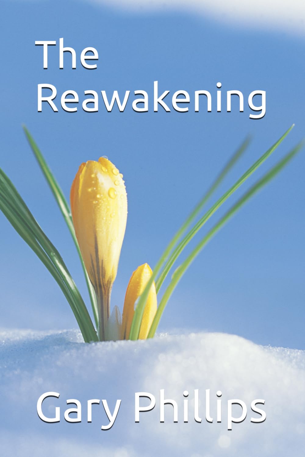 The Reawakening