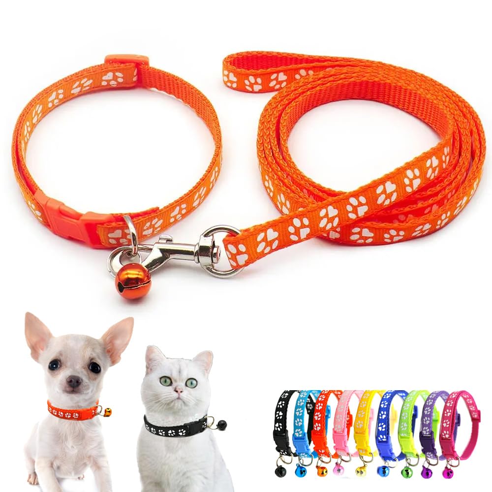 Collier orange pour chiot avec laisse et clochette réglable XS