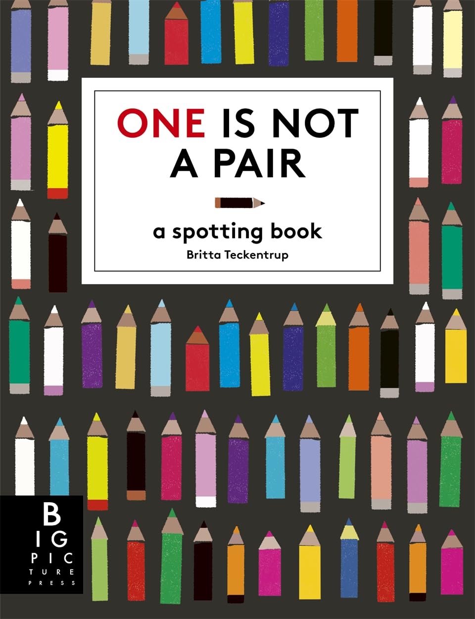 One is Not a Pair A Spotting Book by Katie Haworth (Paperback Book)