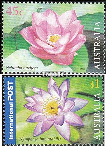 Prophila Collection Australia Michel.-No..: 2150-2151 (Completa Edizione) 2002 Thailand (Francobolli per i Collezionisti) Piante / Funghi