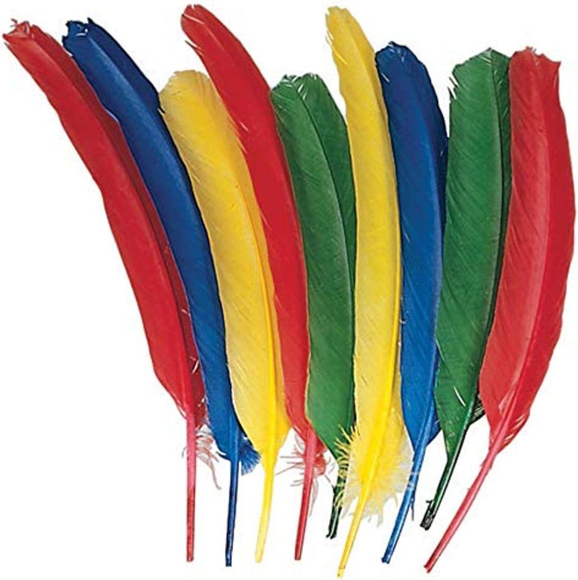 Quill Feathers