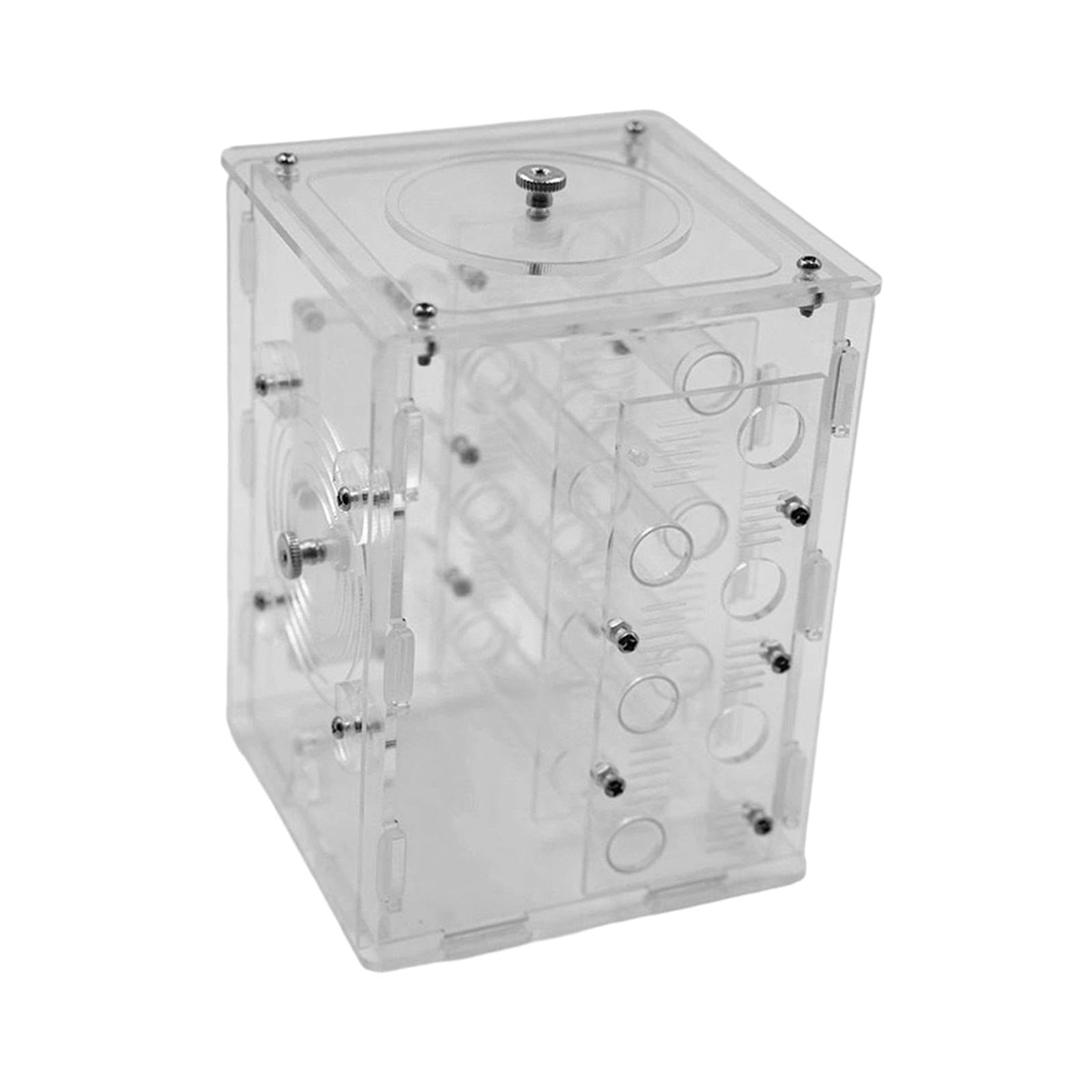 Hormiguero Tipo Formicario, Caja Expositora de Acrílico Transparente, Kit de Cumpleaños para, Hábitat Educativo de Interior para Adultos.