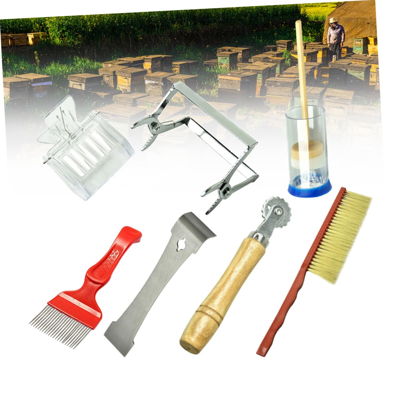 VANZACK 7pezzi Strumenti Apicoltura Attrezzi Per Apicoltori Forniture Per Apicoltura Spazzola Per Api Marcatura Strumenti e
