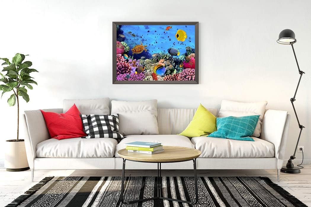 DIY 5D Diamond Painting Kit Coral Colony Red Sea Egypt Fish Aquarium Underwater Caribbean 16" X 20" Adult Full Drill Rhinestone Cross Stitch Art Crafts for Home Decoration