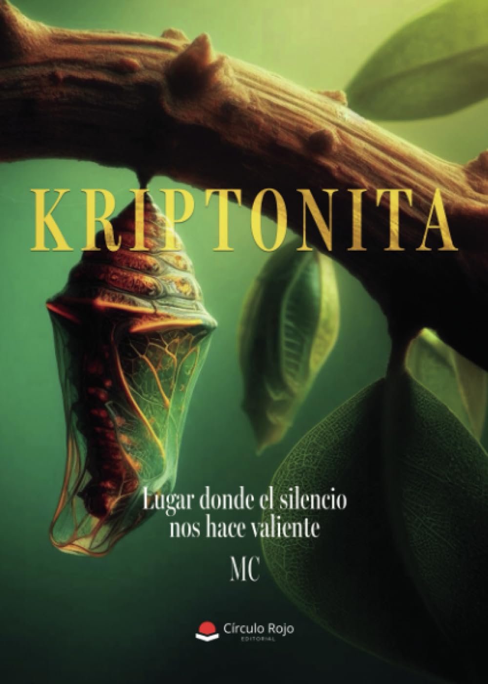 Kriptonita: Lugar donde el silencio nos hace valiente