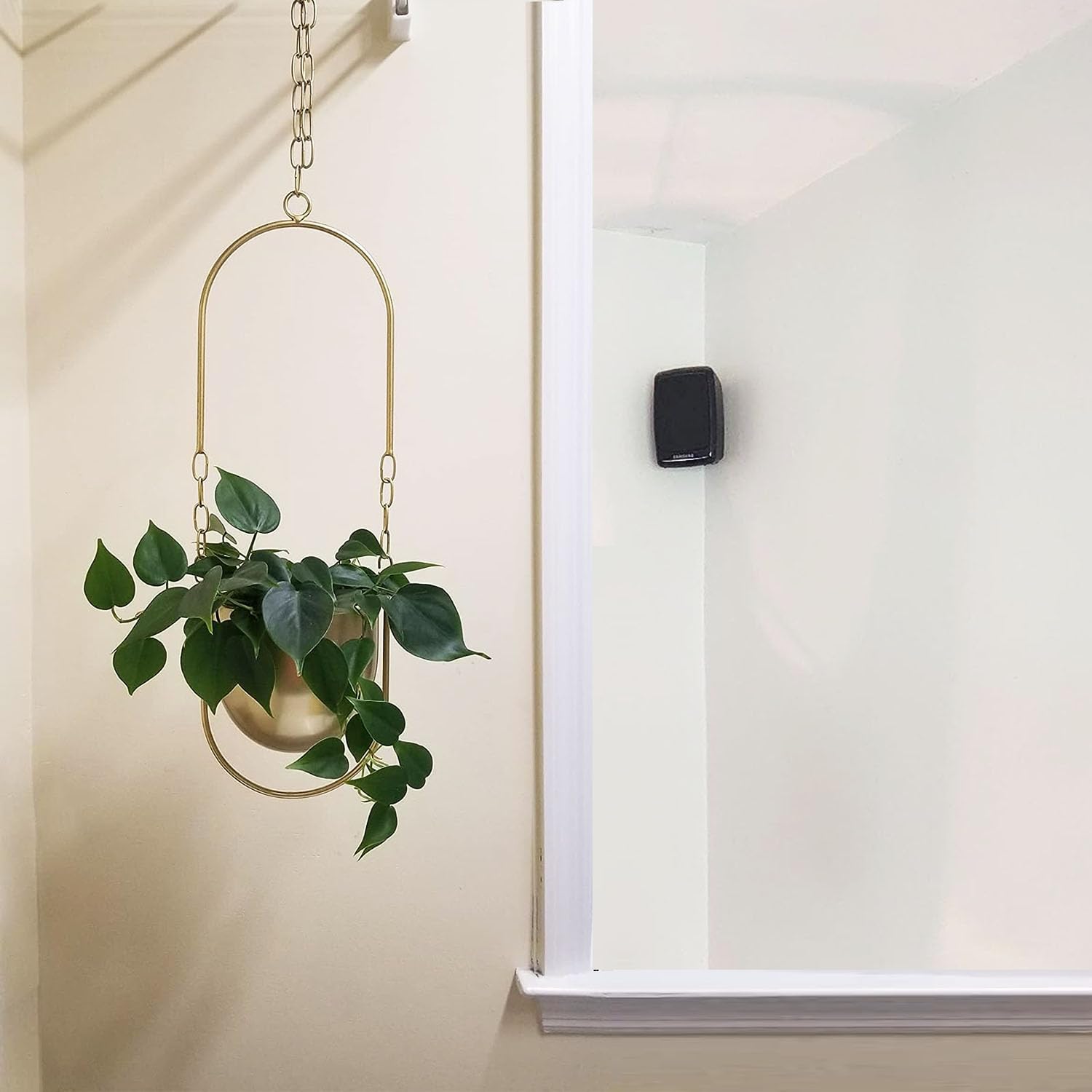 Lot de 2 suspensions pour plantes suspendues - Style bohème - Pour mur moderne et plafond - Pour plantes succulentes, herbes, petites plantes - Doré