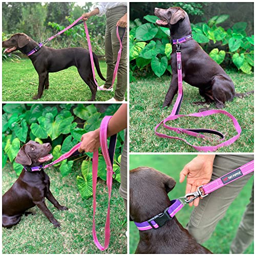 Image of Tuff Pupper Heavy Duty Double Handle Leash | Twist Locking Carabiner Clip | Safety Lock for Strong Dogs | Reflective for Safe Night Walks | 6 Foot Leash for Medium & Large Dogs