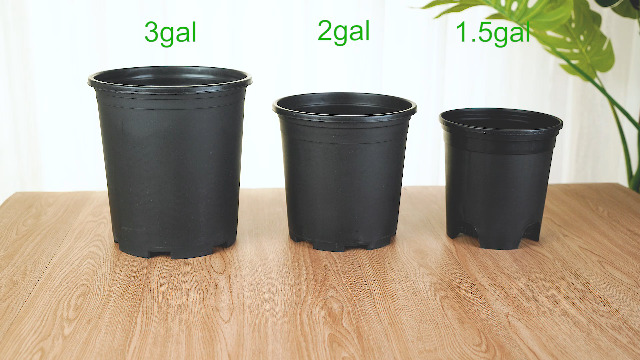 Amazon.com: 4 Inch Nursery Pot Plastic Planters for Outdoor Indoor Plants  Gardening Flower Pots 10-Pack 0.25 Gallon Pot Liners with Drainage Holes :  Patio, Lawn & Garden