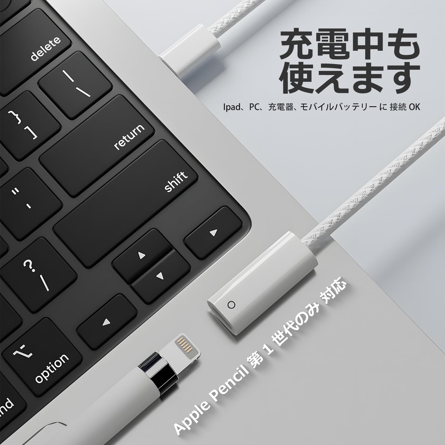 Amazon.co.jp: 日本中小企業 Apple Pencil用アダプタ USB-C