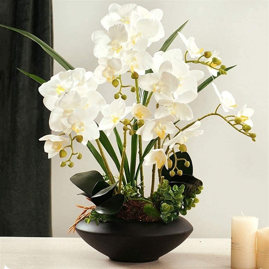 Orquídea Artificial de 19,68 Pulgadas, Floral Falso con jarrón de cerámica, Flores Artificiales de Phalaenopsis en Maceta, Flor Artificial Moderna de imitación