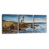 Pacimo 3 Pieces Cityscape Canvas Wall Art - Annisquam Lighthouse Pictures Print on Canvas Massachusetts Landscape Modern Artwork for Home Office Decor Stretch and Framed Ready to Hang - 12